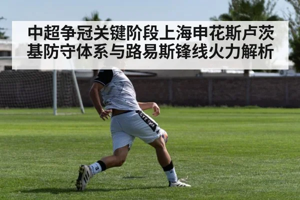 中超争冠关键阶段上海申花斯卢茨基防守体系与路易斯锋线火力解析 - kaiyun